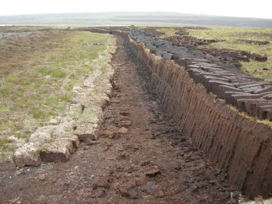 peat bank